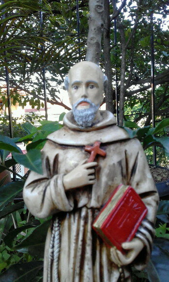 São Pedro de Alcântara 30 cm
