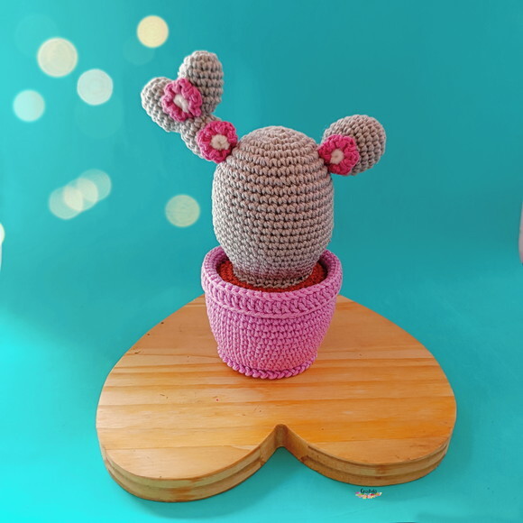 Cacto Plantinha de Crochê Amigurumi