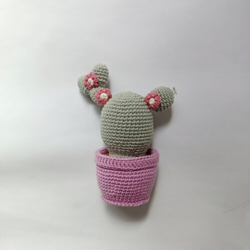 Cacto Plantinha de Crochê Amigurumi