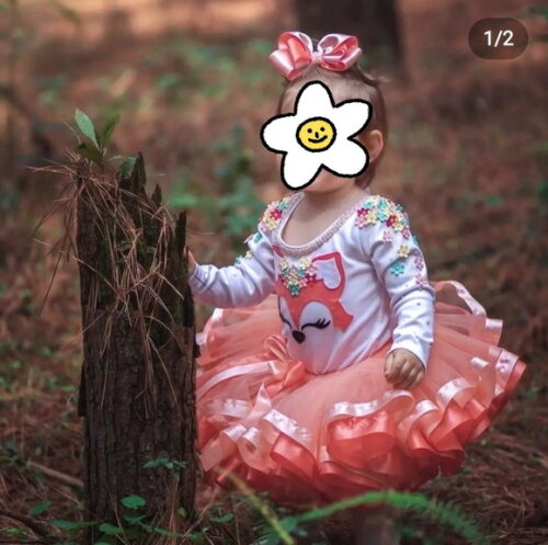 Fantasia Raposinha/bosque Encantado. Tamanho 1 ou 2 Anos.