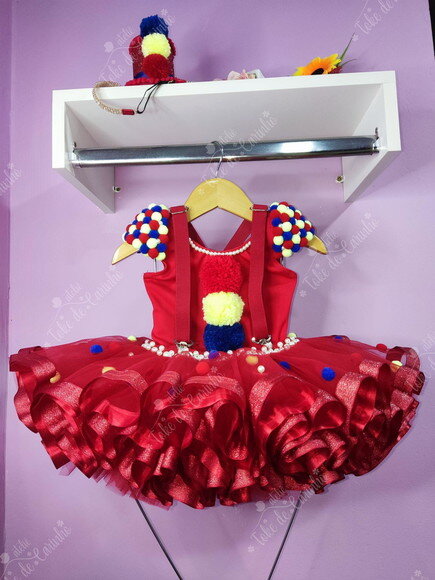 Look Tema circo. Tamanho 4 ou 6 Anos.
