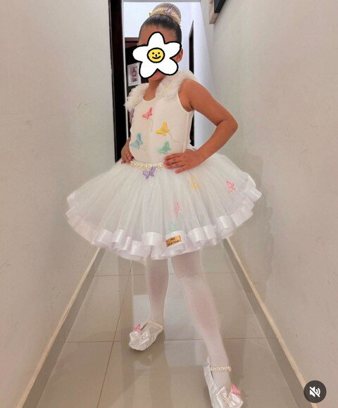 Look/figurino borboletas/jardim. Tamanho 7 ao 10.
