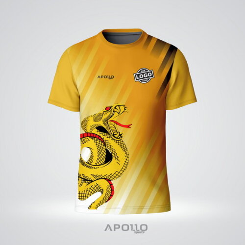 Camisetas Academia Luta Personal Personalizada Dryfit