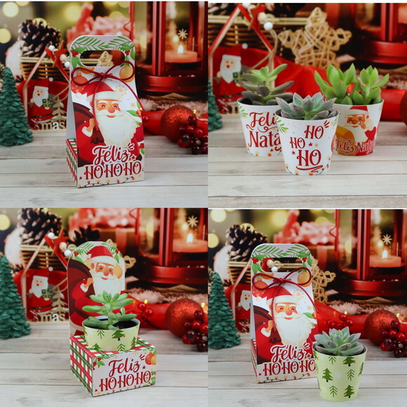 Arquivo de Corte Kit Suculentas Natal #3524