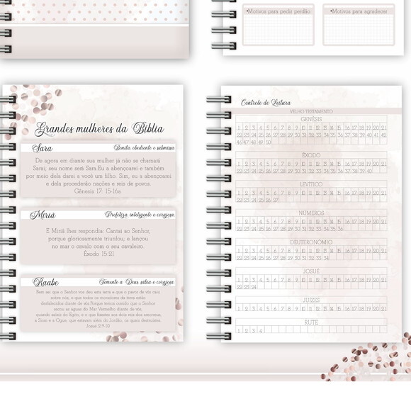 Arquivo Digital - Agenda/caderno Devocional Feminino #269