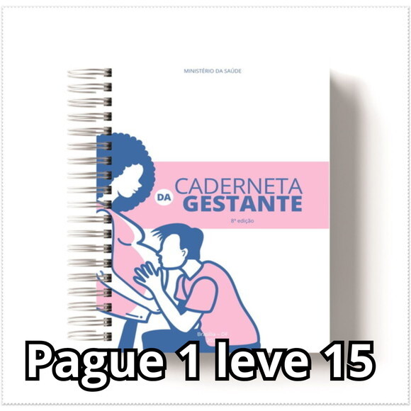 Arquivo Digital Caderneta Gestante 2023 (8ª Edição) #686