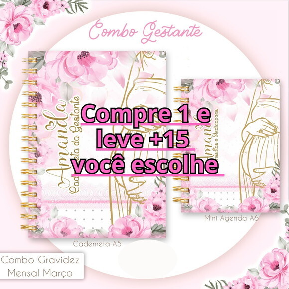 Arquivo Digital Caderneta Gestante Rosa #2214