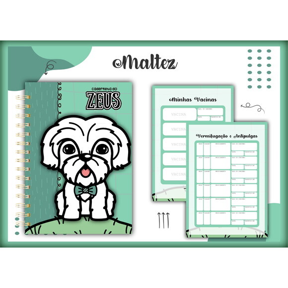 Arquivo Digital Caderneta Vacina Maltez Menino #1385