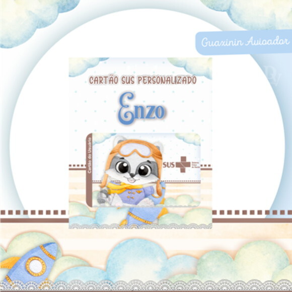 Arquivo Digital Cartão Sus Guaxinim Aviador #2507