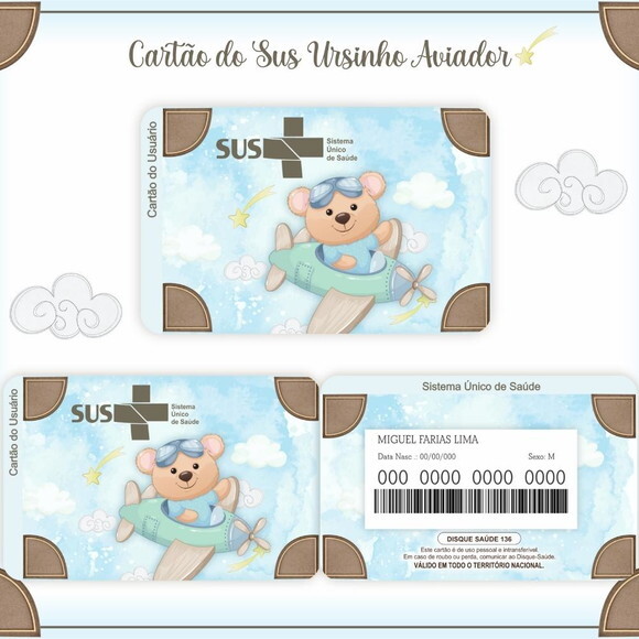 Arquivo Digital Cartão Sus Ursinho Aviador #935