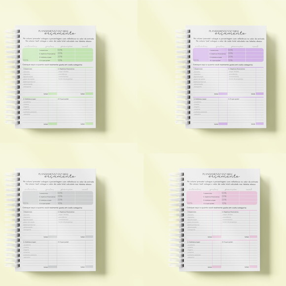 Arquivo Digital Planner Financeiro Neutro #6083
