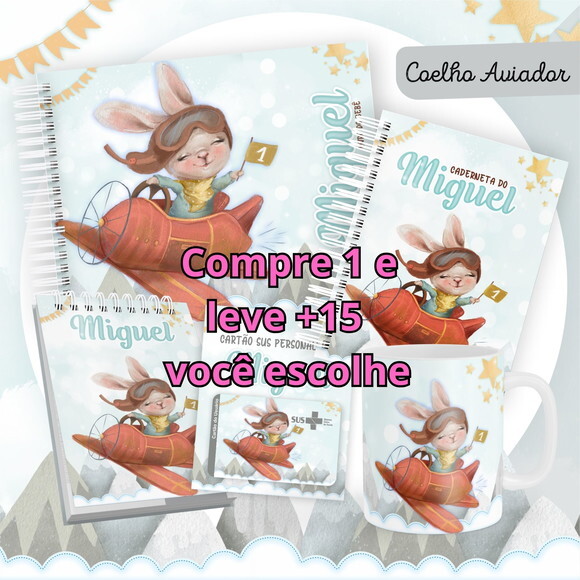 Arquivo Livro do Bebê e Caderneta Coelho Aviador #1484