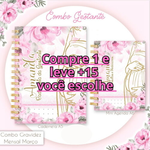 Arquivo Digital Caderneta Gestante Rosa #2214