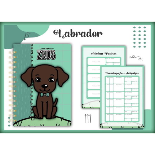Arquivo Digital Caderneta Vacina Labrador Menino #1381