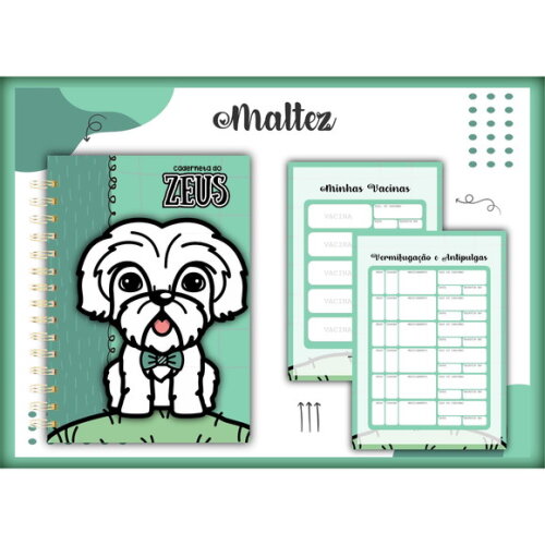 Arquivo Digital Caderneta Vacina Maltez Menino #1385