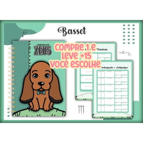 Arquivo Digital Caderneta Vacina Pet Basset Menino#1359