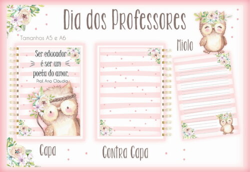 Arquivo Digital Caderno Professor #3049