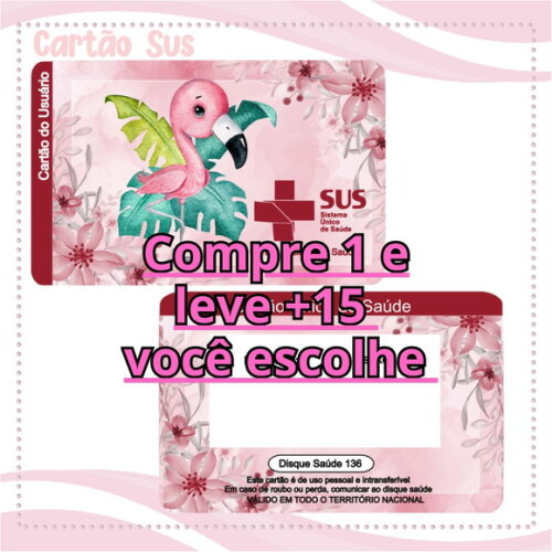 Arquivo Digital Cartão Sus Flamingo #2020