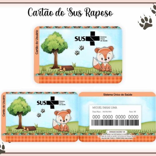 Arquivo Digital Cartão Sus Raposo #942