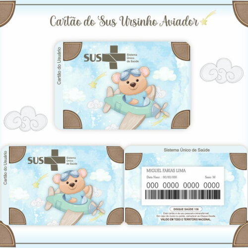Arquivo Digital Cartão Sus Ursinho Aviador #935