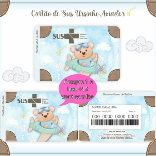 Arquivo Digital Cartão Sus Ursinho Aviador #935