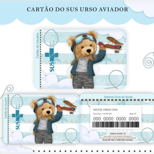 Arquivo Digital Cartão Sus Urso Aviador #1756