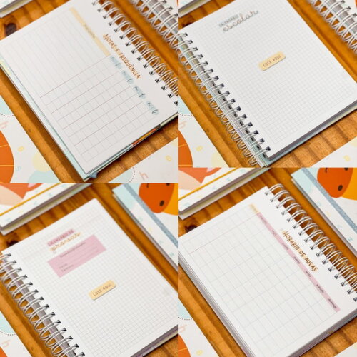 Arquivo Digital Combo Agendas Escolares 2024 #3632