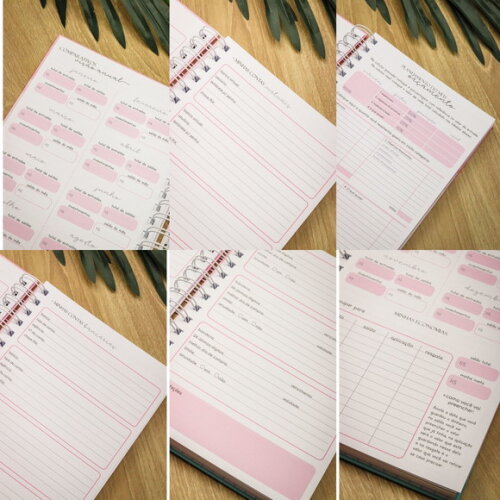 Arquivo Digital Planner Financeiro 2025 #6276