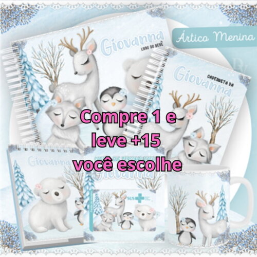 Arquivo Livro do Bebê e Caderneta Artico Menina #1499