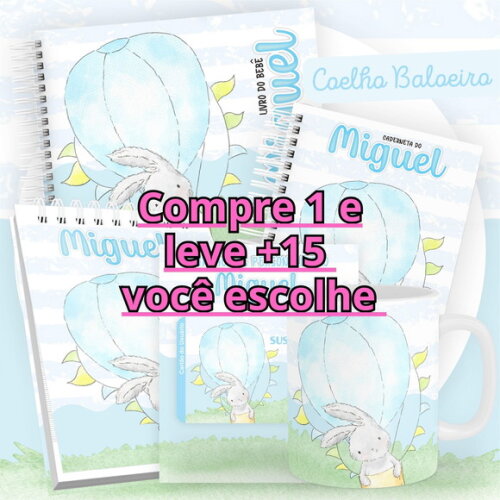Arquivo Livro do Bebê e Caderneta Coelho Baloeiro #2534