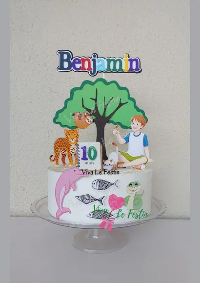 Topo de Bolo - Diário de Pilar - Menino