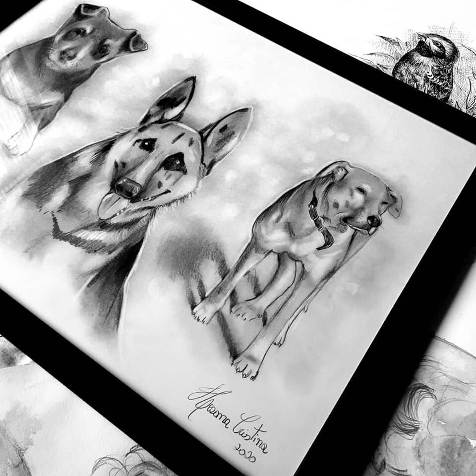 Desenho a grafite realista de pet