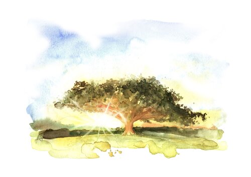 Pintura em aquarela para convite de casamento