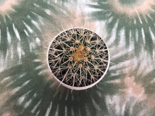 Trilho /caminho Mesa Tie-dye Verde- *valor do Par*