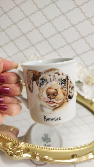 1 Caneca com Um Pet Pintado a Mão Tradicional