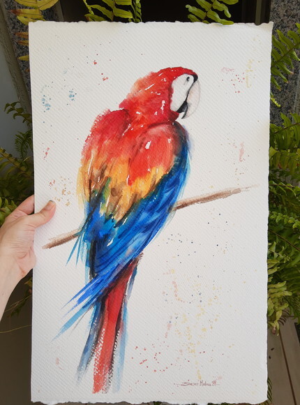 Aquarela Original arara Vermelha 57x36cm