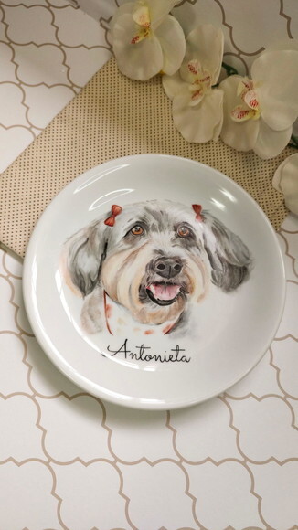 Prato Decorativo com Um Pet Pintado 19cm