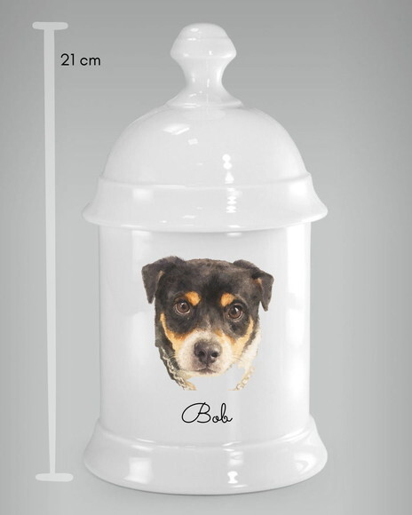 Urna para Cinzas do Pet em Porcelana com Pintura a Mão 21cm