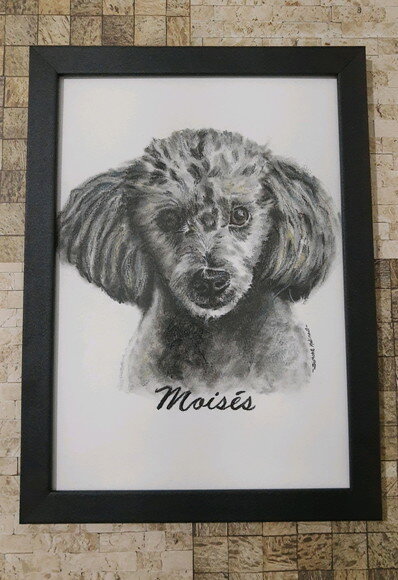 Pintura do Pet 20x30 com Moldura