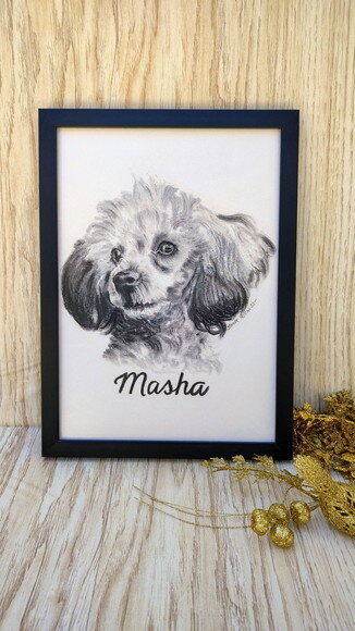 Pintura do Pet 20x30 com Moldura