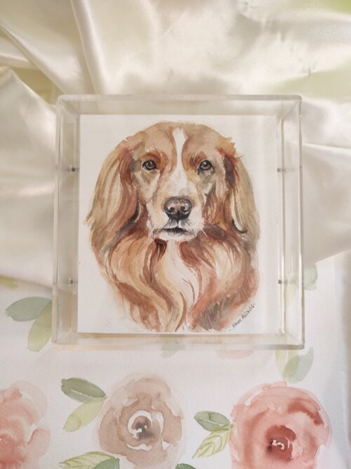Aquarela do pet  na Moldura Acrílica 15x15cm