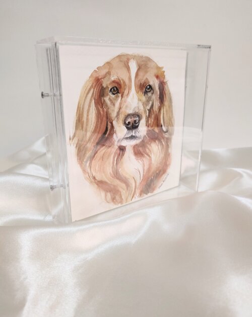 Aquarela do pet  na Moldura Acrílica 15x15cm
