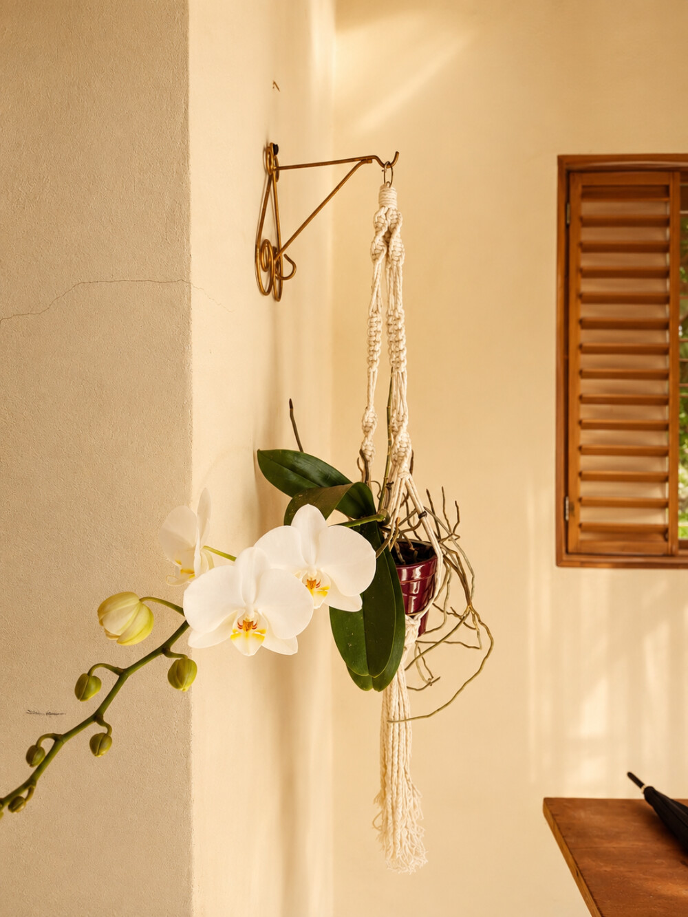 Suporte em macramé para plantas