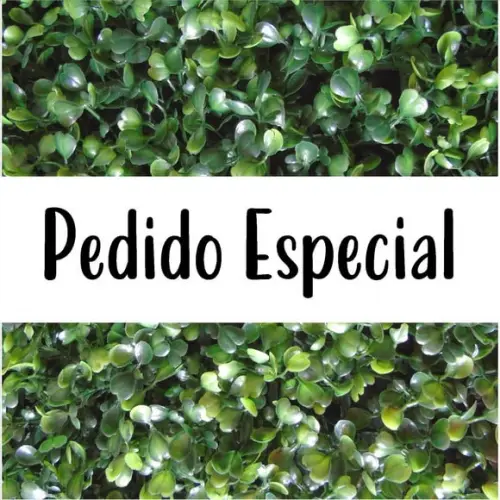 Pedido Especial / Adriana