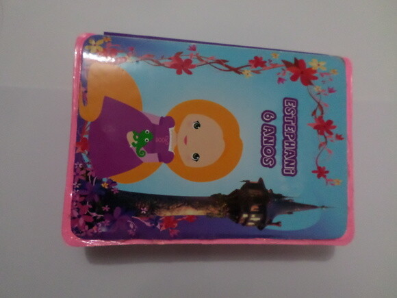 Estojo Personalizado Pequeno Enrolados