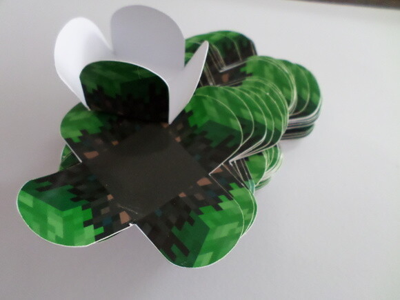 Forminha Personalizada Minecraft