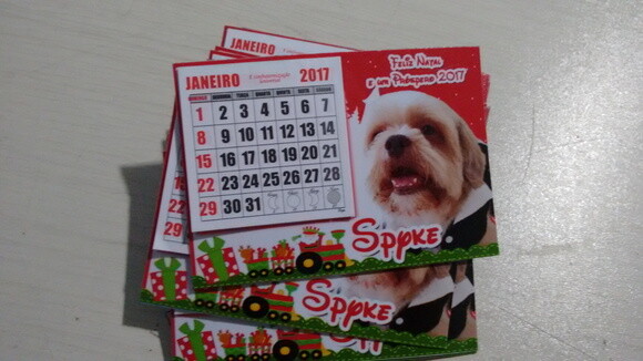 Imã para pet Natal