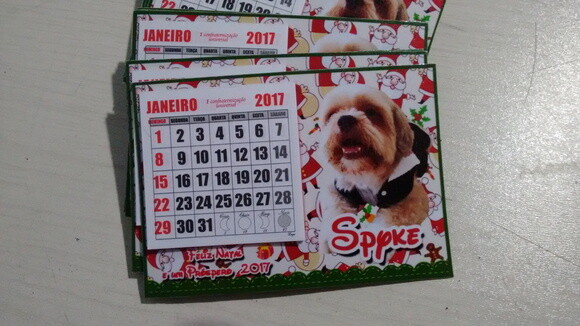 Imã para pet Natal