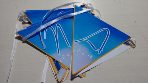 Bandeirolas Personalizada Cinderela