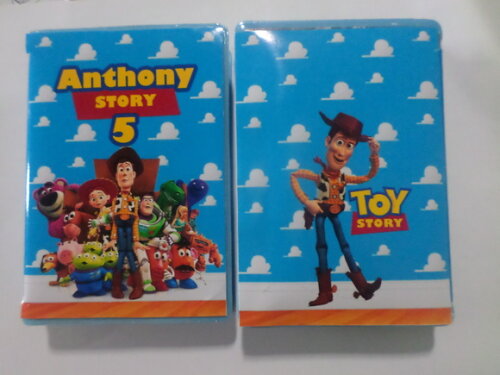 Estojo personalizado toy story
